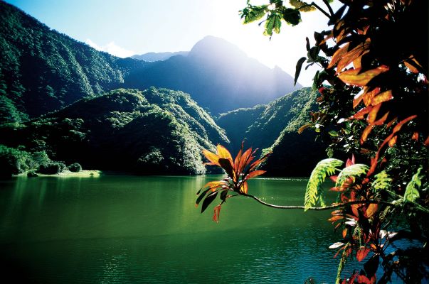 Tahitian View