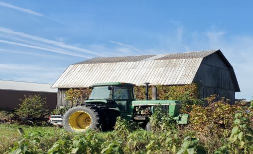 barn barn