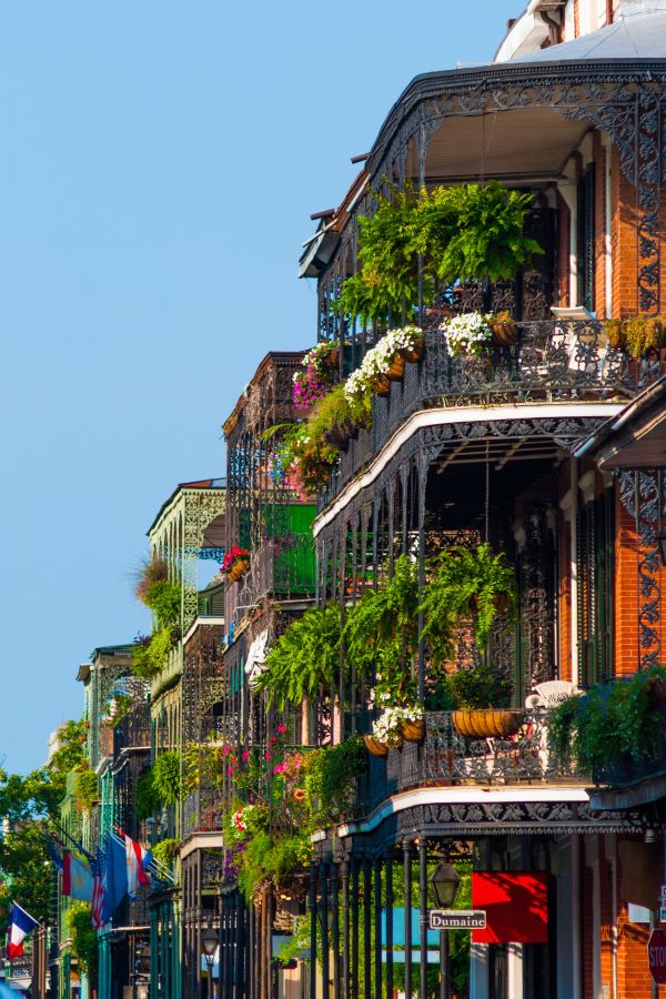 new orleans